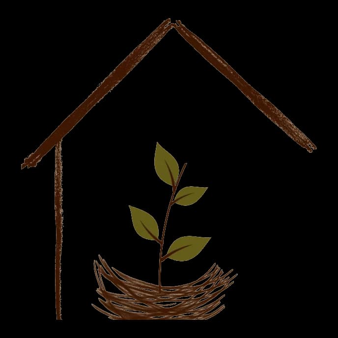 Bare Nest